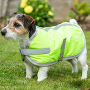 Waterproof Dog Coat - High Viz Yellow