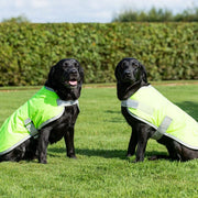 Waterproof Dog Coat - High Viz Yellow