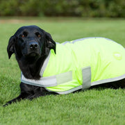 Waterproof Dog Coat - High Viz Yellow