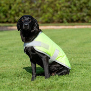 Waterproof Dog Coat - High Viz Yellow
