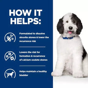 Hill's Prescription Diet c/d Multicare Urinary Care Chicken Dog Food