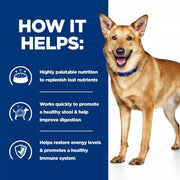 Hill's Prescription Diet i/d Digestive Care Wet Dog Food with Turkey