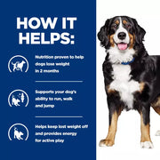 Hill's Prescription Diet Metabolic + Mobility Dog Food Cans