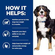 Hill's Prescription Diet Metabolic + Mobility, Weight Management Dog Food with Chicken
