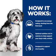 Hill's Prescription Diet ON-CARE Wet Dog Food Chicken and Vegetables Stew