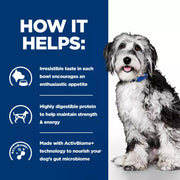 Hill's Prescription Diet ON-CARE Wet Dog Food Chicken and Vegetables Stew