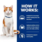 Hill's Prescription Diet On-Care with Chicken Dry Cat Food