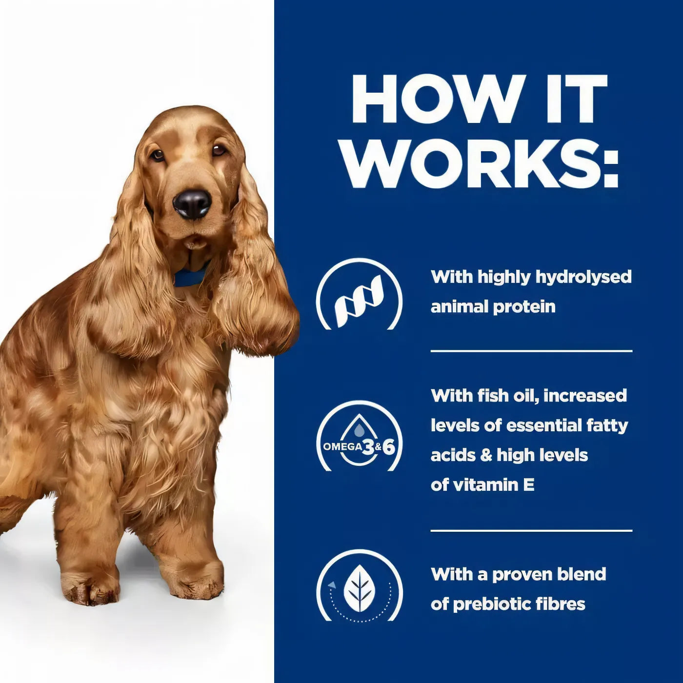 Hill's Prescription Diet z/d Food Sensitivities Wet Dog Food