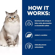 Hill's Prescription Diet j/d Joint Care Chicken Dry Cat Food