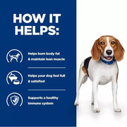 Hill's Prescription Diet r/d Weight Reduction Dog Food