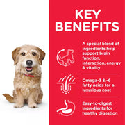 Hill's Science Plan Adult 7+ Senior Vitality Small and Mini Chicken Dog Food
