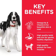 Hill's Science Plan Adult Medium Dog Food Chicken
