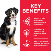 Hill's Science Plan Adult Large Breed Dog Food Chicken