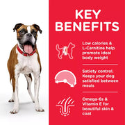 Hill's Science Plan Adult Light Medium Chicken Dog Food