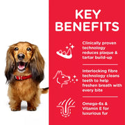 Hill's Science Plan Adult Oral Care Medium Chicken Dog Food