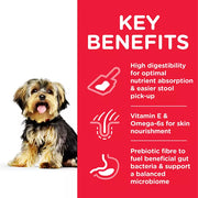 Hill's Science Plan Adult Sensitive Stomach and Skin Small and Mini Dog Food Chicken
