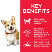 Hill's Science Plan Adult Small and Mini Chicken Dog Food