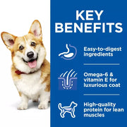 Hill's Science Plan Adult Small and Mini Dog Stew with Chicken Beef and Added Vegetables