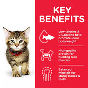 Hill's Science Plan Chicken Kitten Food