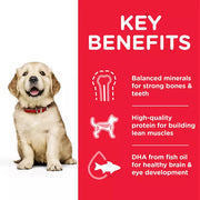 Hill's Science Plan Large Breed Chicken Puppy Food
