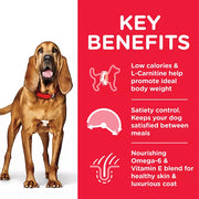 Hill's Science Plan Mature Adult Light Medium Chicken Dog Food