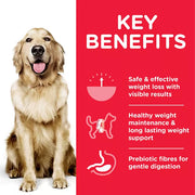 Hill's Science Plan Perfect Weight Large Breed Chicken Dog Food