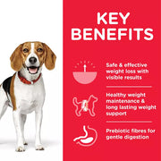 Hill's Science Plan Perfect Weight Medium Chicken Dog Food