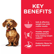 Hill's Science Plan Perfect Weight Small and Mini Chicken Dry Dog Food