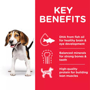 Hill's Science Plan Puppy Medium Chicken Dog Food