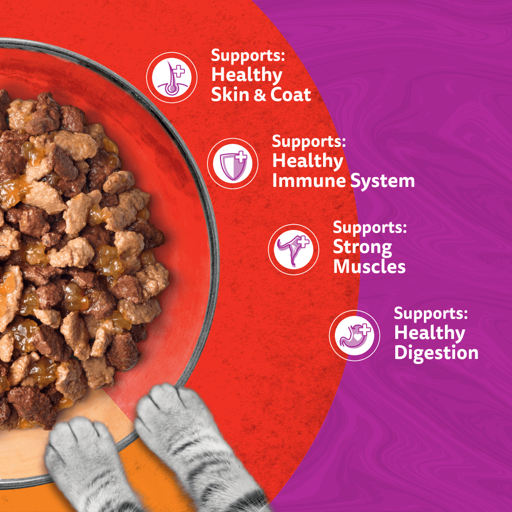 Whiskas 1+ Duo Meaty Combos in Jelly