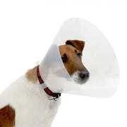 Kruuse BUSTER Anti Scratch/Lick/Bite Classic Recovery Collar