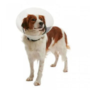 Kruuse BUSTER Anti Scratch/Lick/Bite Clic Recovery Collar Clear