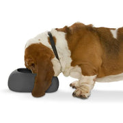 Kruuse BUSTER IncrediBowl for Long Eared Dogs
