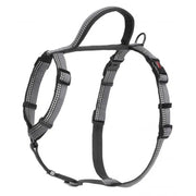Halti Black Walking Dog Harness