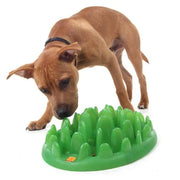 Company Of Animals Green Interactive Dog Feeder