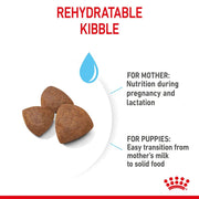 ROYAL CANIN® Medium Starter Mother and Babydog Adult and Puppy Food
