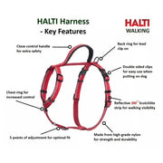 Halti Black Walking Dog Harness