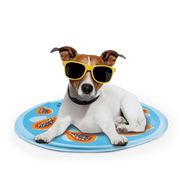All For Paws Chill Out Papaya Cooling Mat
