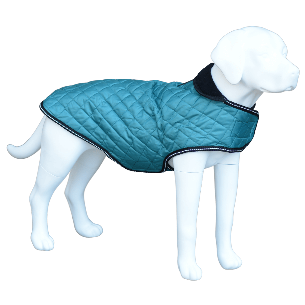 Henry Wag Teal Quilted Dog Jacket