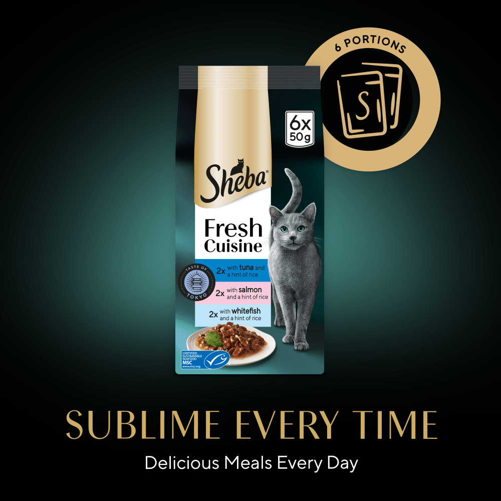 Sheba Fresh Cuisine Taste of Tokyo Salmon, Tuna & Whitefish in Gravy