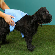 Just Chillin' Cooling Towel for Dogs