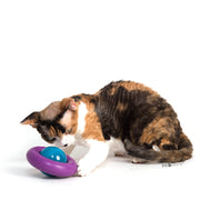 KONG Infused Cat Gyro Toy