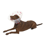 Kruuse BUSTER Design Bones Recovery Collar