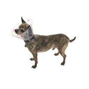 Kruuse BUSTER Design Bones Recovery Collar