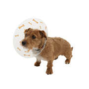 Kruuse BUSTER Design Bones Recovery Collar