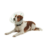 Kruuse BUSTER Design Bones Recovery Collar