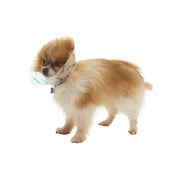 Kruuse BUSTER Design Bones Recovery Collar