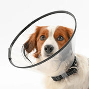 Kruuse BUSTER Comfort Medical Recovery Collar