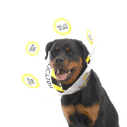 Kruuse BUSTER "Under Construction" Recovery Dog Collar