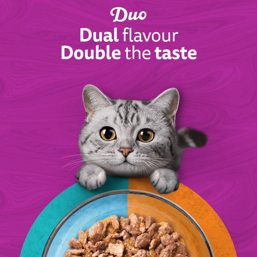 Whiskas 1+ Duo Surf & Turf in Jelly